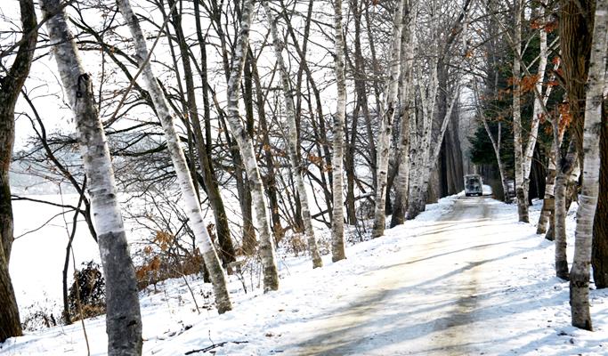 Seoul Vicinity: Nami Island + Gangchon Rail Bike + Petite France Day Tour