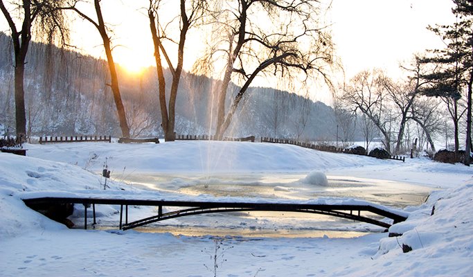 Nami Island + Everland 1 Day Tour