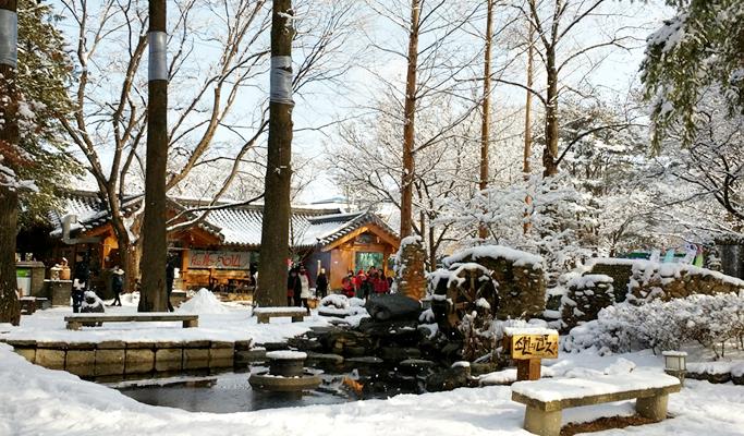 Nami Island + Everland 1 Day Tour