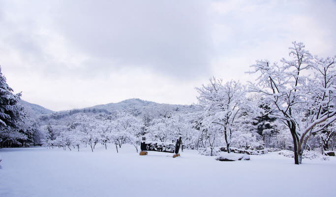 南怡島 + 江村鐵路自行車 + 晨靜樹木園 / 小法國村 + 義大利村 1 日遊