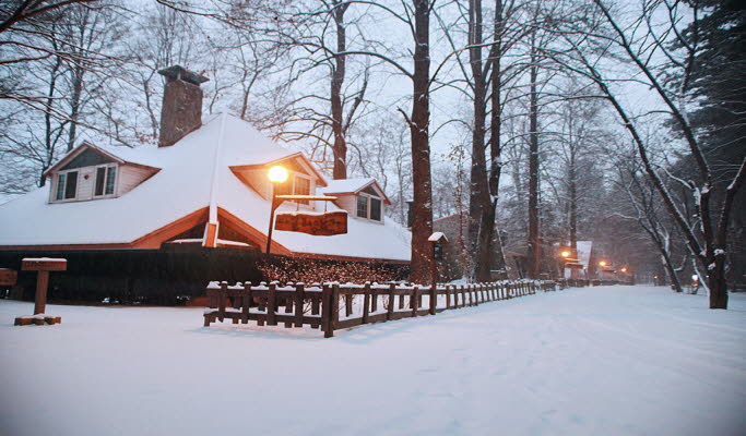 Seoul Vicinity: Nami Island+Gangchon Rail Bike+Edelweiss Swiss Theme Park One Day Tour