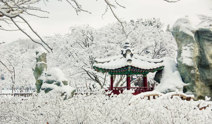 2D1N Nami Island Shuttle Bus + Ticket + Hotel Package