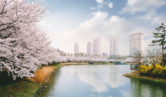 Nami Island & Lotte World / Lotte World Tower 1 Day Tour (~Jun)