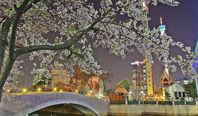 Nami Island & Lotte World / Lotte World Tower 1 Day Tour (~Jun)