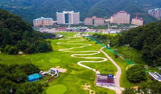 Seoul Vicinity: Nami Island and Luge Ride at Vivaldi Resort