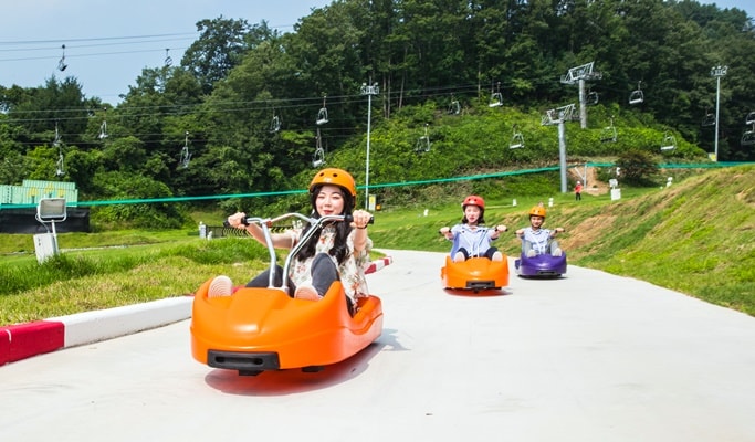 Seoul Vicinity: Nami Island and Luge Ride at Vivaldi Resort