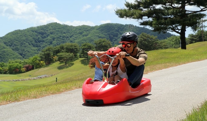 Seoul Vicinity: Nami Island and Luge Ride at Vivaldi Resort