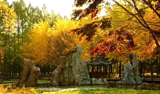 Seoul Vicinity: Nami Island and Luge Ride at Vivaldi Resort