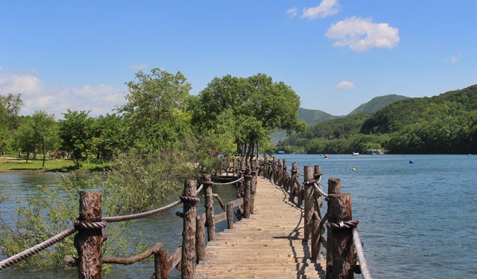 Nami Island + Chuncheon Lake Starlight Nation Festival Afternoon Tour