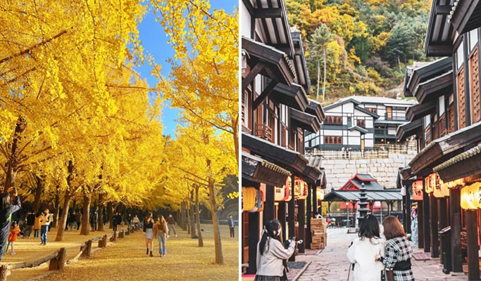 南怡島 & 虹森工作室之旅（+ 晨靜樹木園/鐵路自行車/羊駝世界/小法國村選項）
