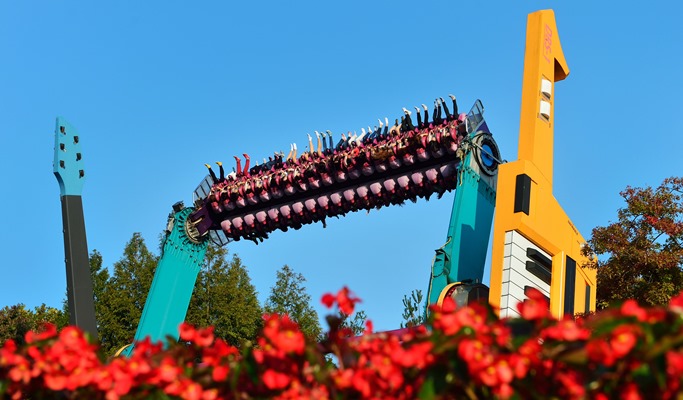 Nami Island + Petite France + Everland 1 Day Tour