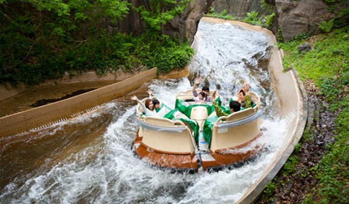 Nami Island + Petite France + Everland 1 Day Tour