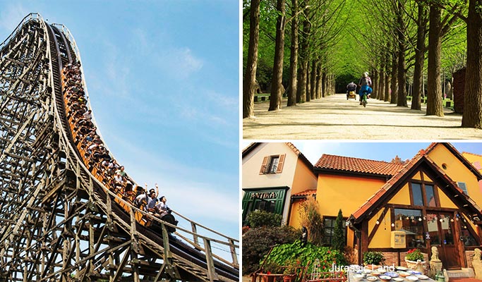 Nami Island + Petite France + Everland 1 Day Tour