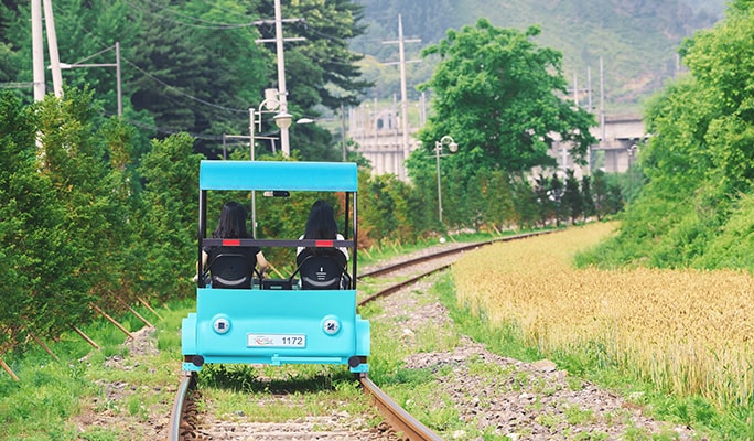 Alpaca World + Rail Bike + Vivaldi Park 1 Day Tour - from Seoul (Apr 4~Jun 30)