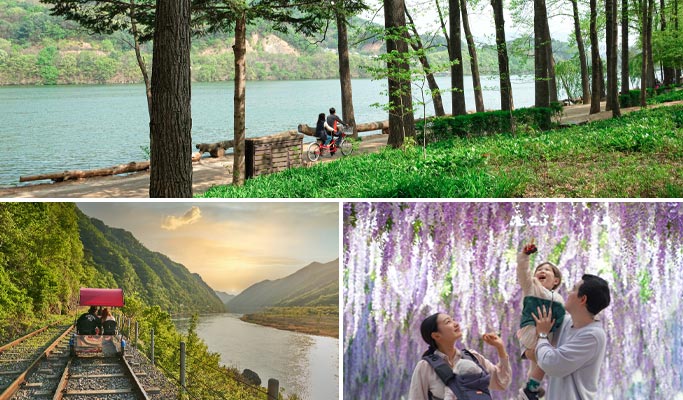 Nami Island & Rail Bike (+ Begonia Bird Park) Tour - from Seoul