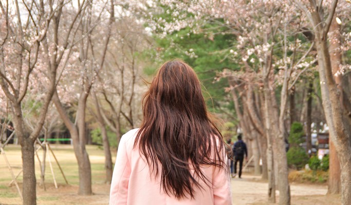 Nami Island + Gangchon Rail Bike + Strawberry Farm 1 Day Tour - from Seoul