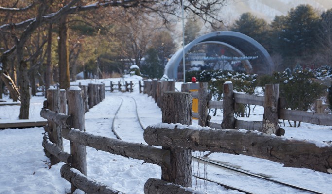 Nami Island + Gangchon Rail Bike + Strawberry Farm 1 Day Tour - from Seoul