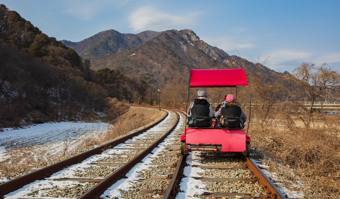 Nami Island + Gangchon Rail Bike + Strawberry Farm 1 Day Tour - from Seoul