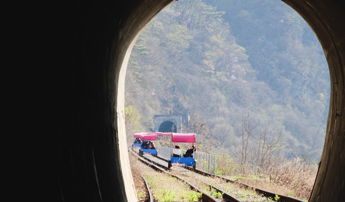 Nami Island + Gangchon Rail Bike + Strawberry Farm 1 Day Tour - from Seoul