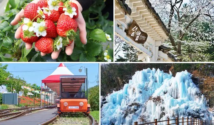 Nami Island + Gangchon Rail Bike + Strawberry Picking (+ Eobi Ice Valley)