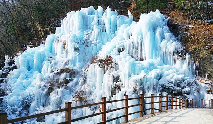 Seoul Vicinity: Nami Island + Gangchon Rail Bike + Strawberry Picking (+ Eobi Ice Valley) 1 Day Tour