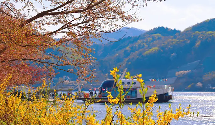 Seoul Vicinity: Nami Island + Gangchon Rail Bike + Strawberry Picking (+ Eobi Ice Valley) 1 Day Tour