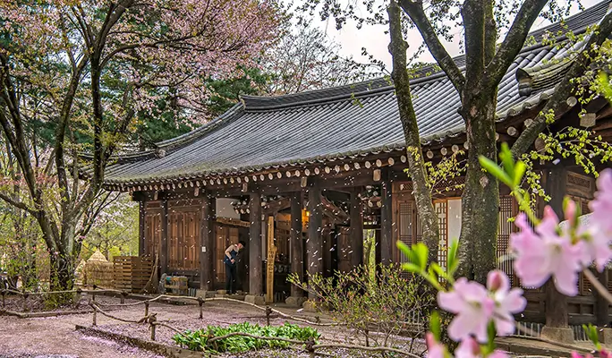 Seoul Vicinity: Nami Island + Gangchon Rail Bike + Strawberry Picking (+ Eobi Ice Valley) 1 Day Tour