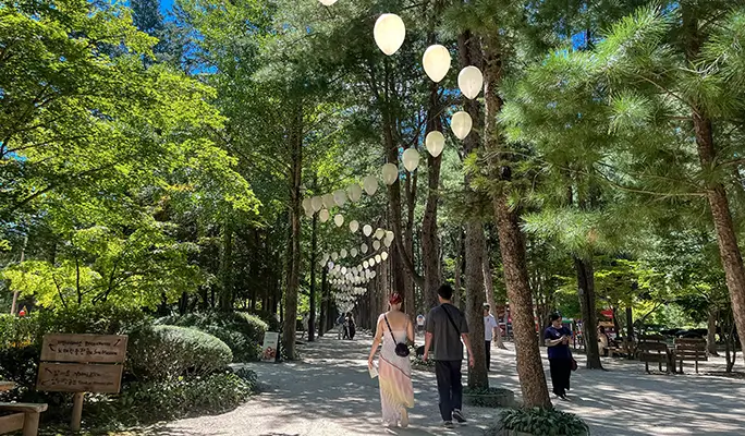 Seoul Vicinity: Nami Island + Gangchon Rail Bike + Strawberry Picking (+ Eobi Ice Valley) 1 Day Tour