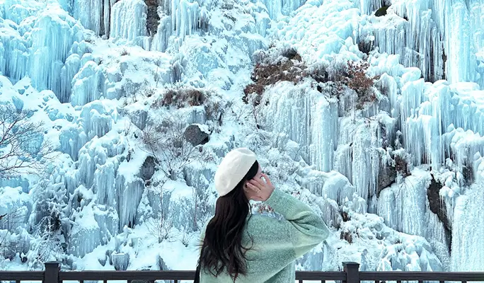 Seoul Vicinity: Nami Island + Gangchon Rail Bike + Strawberry Picking (+ Eobi Ice Valley) 1 Day Tour