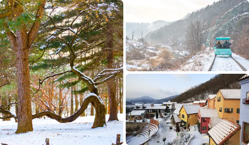 Nami Island & Rail Bike (+ Garden of Morning Calm or Petite France & Italian Village) Tour