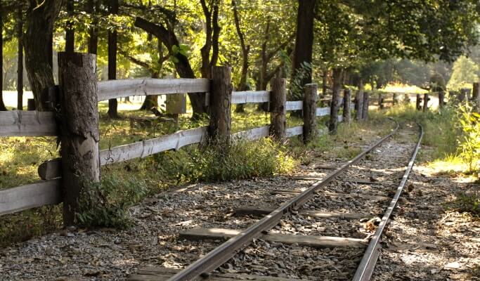 Seoul Vicinity: Nami Island + Petite France + Strawberry Farm Package