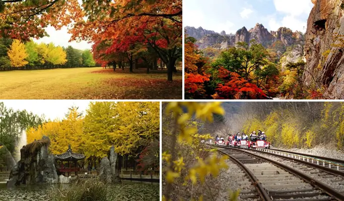Nami Island & Mt. Seoraksan Tour