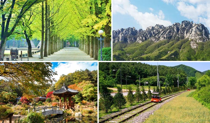 Nami Island & Mt. Seoraksan Tour