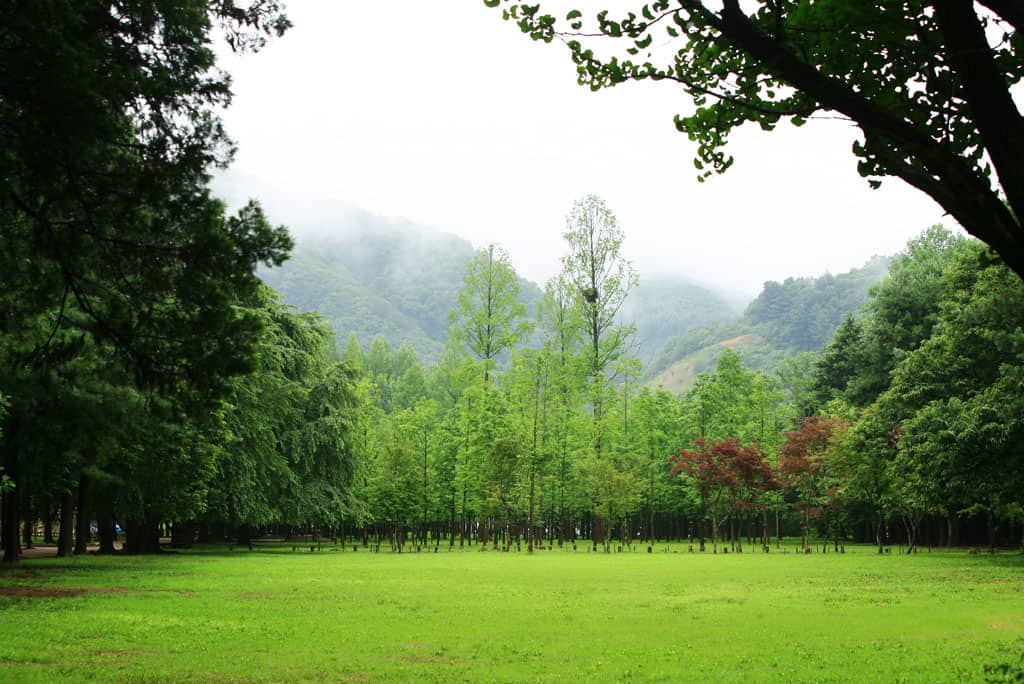 Nami Island & Unaksan Suspension Bridge Tour (+ Rail Bike option)