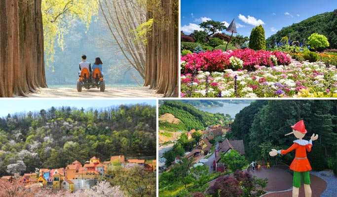 Nami Island + Morning Calm/ Petite France