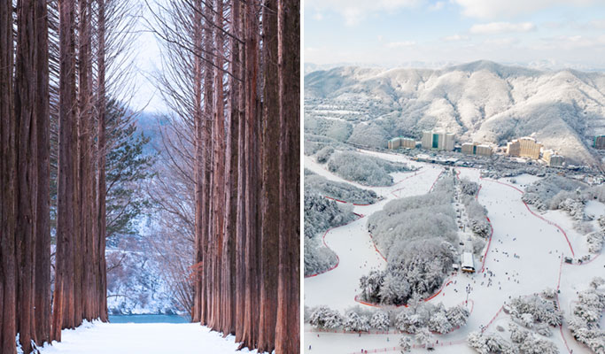 Nami Island + Vivaldi Park Ski Resort
