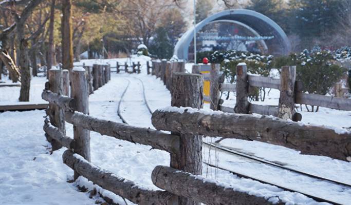 Ski Resort Transfer & Private Tour (Seoul ↔️ Yongpyong/ Alpensia/ High1/ Phoenix Ski Resort)