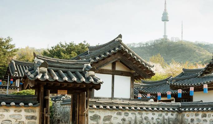 Seoul Walking Tour: Namsan Park & N Seoul Tower Evening Hiking - Trazy ...