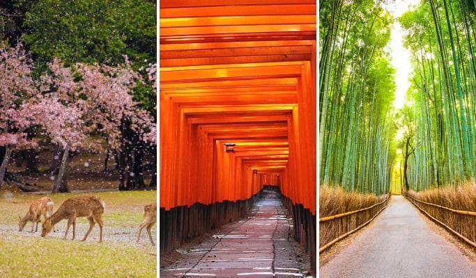 Kyoto & Nara 1 Day Tour: Nara Park & Fushimi Inari Shrine & Arashiyama from Osaka/ Kyoto