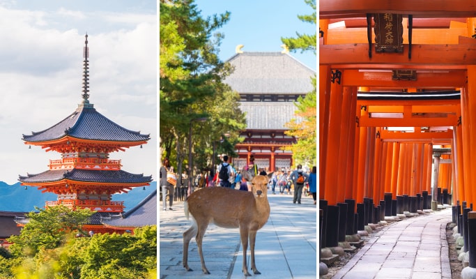 Kyoto & Nara 1 Day Tour: Nara Park & Fushimi Inari Shrine & Kiyomizu-dera Temple from Osaka/ Kyoto