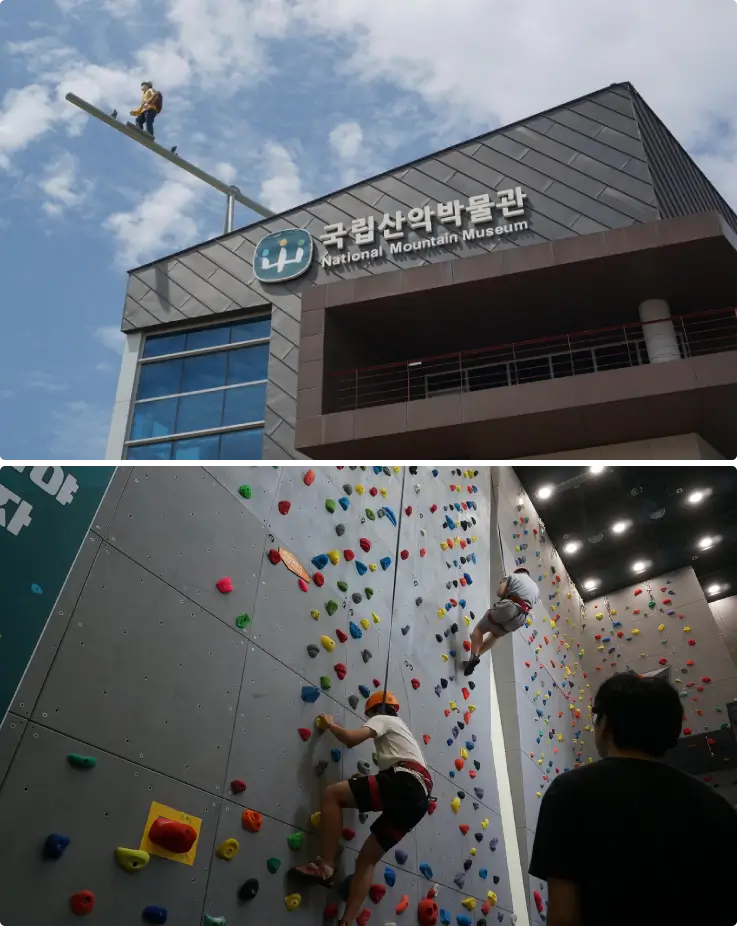 Indoor rock climbing activity inside the National Mountain Museum in Korea.