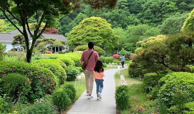 院岱里白樺林＆季節花卉節1日遊 - 首爾出發