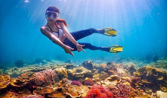 Nemo Island Snorkeling Tour From Pattaya Trazy Your Travel Shop For Asia 