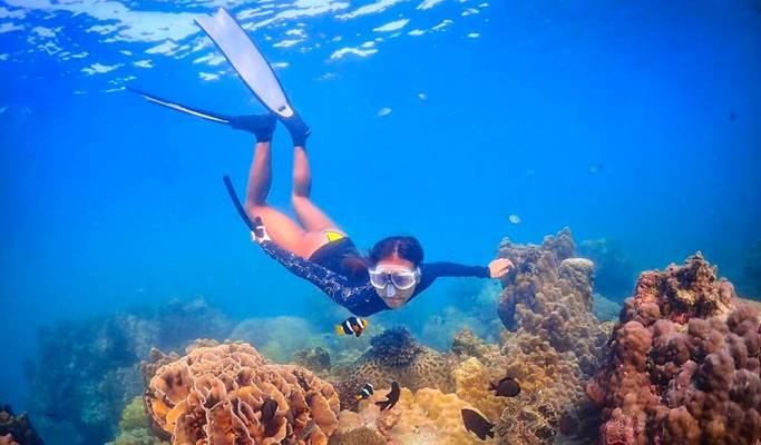 Nemo Island Snorkeling Tour by Speedboat (+ underwater photos) - from Pattaya