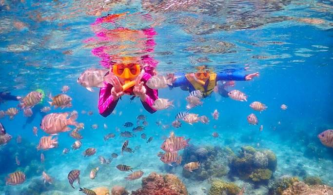 Nemo Island Snorkeling Tour from Pattaya - Trazy, Your Travel Shop for Asia