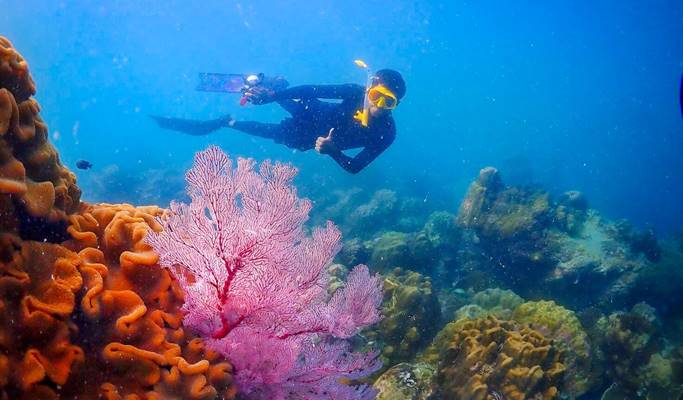 Nemo Island Snorkeling Tour by Speedboat (+ underwater photos) - from Pattaya