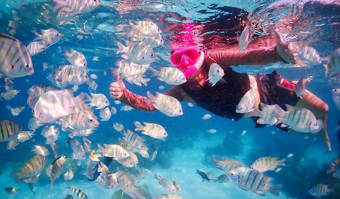 Nemo Island Snorkeling Tour from Pattaya - Trazy, Your Travel Shop for Asia