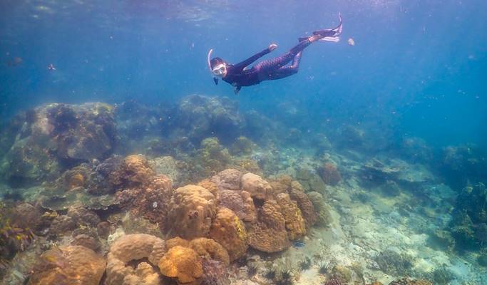 Nemo Island Snorkeling Tour by Speedboat (+ underwater photos) - from Pattaya