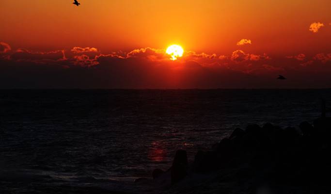2020 Coex New Year’s Countdown + Gyeongpodae Overnight Sunrise Tour - from Seoul (Dec 31)