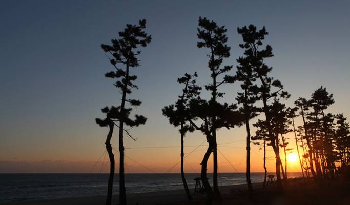2020 Coex New Year’s Countdown + Gyeongpodae Overnight Sunrise Tour - from Seoul (Dec 31)
